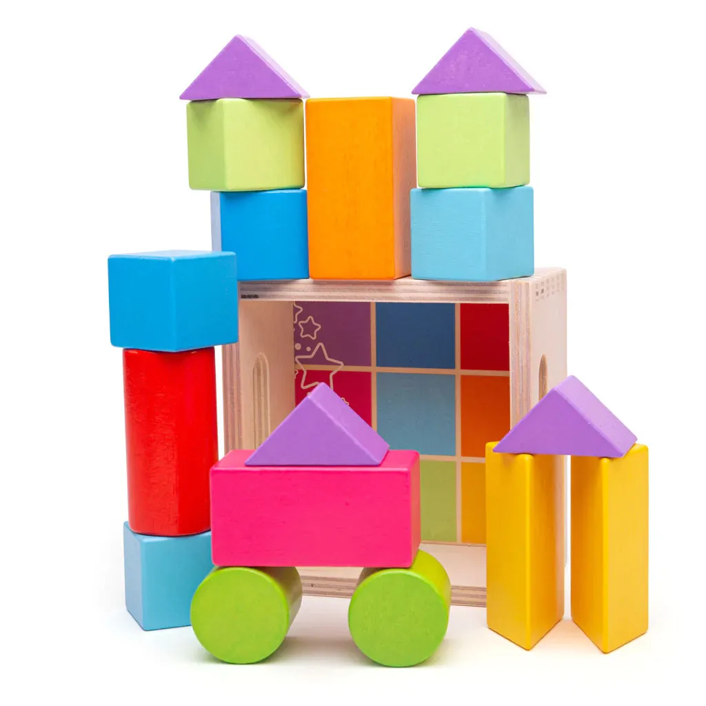 Bigjigs First Building Blocks