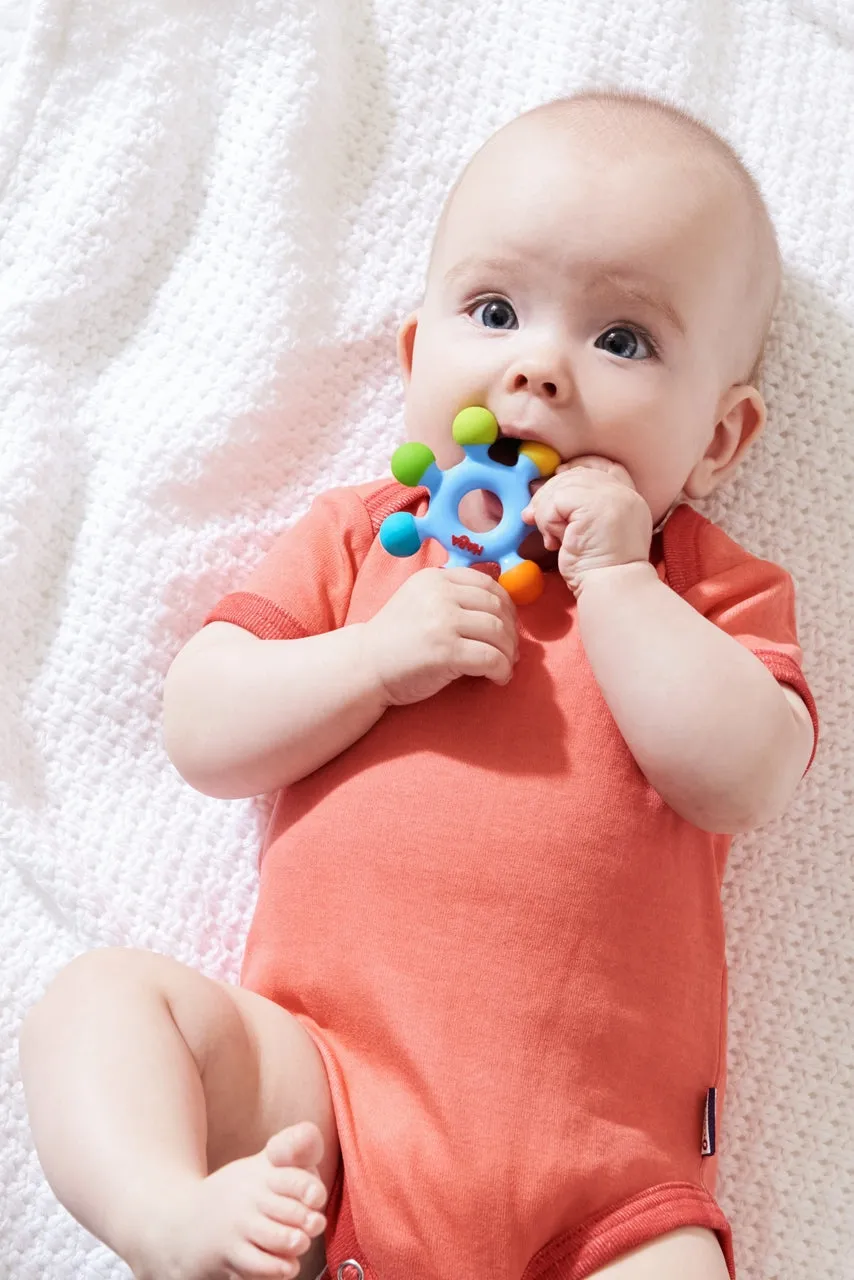 Clutching Toy Color Wheel
