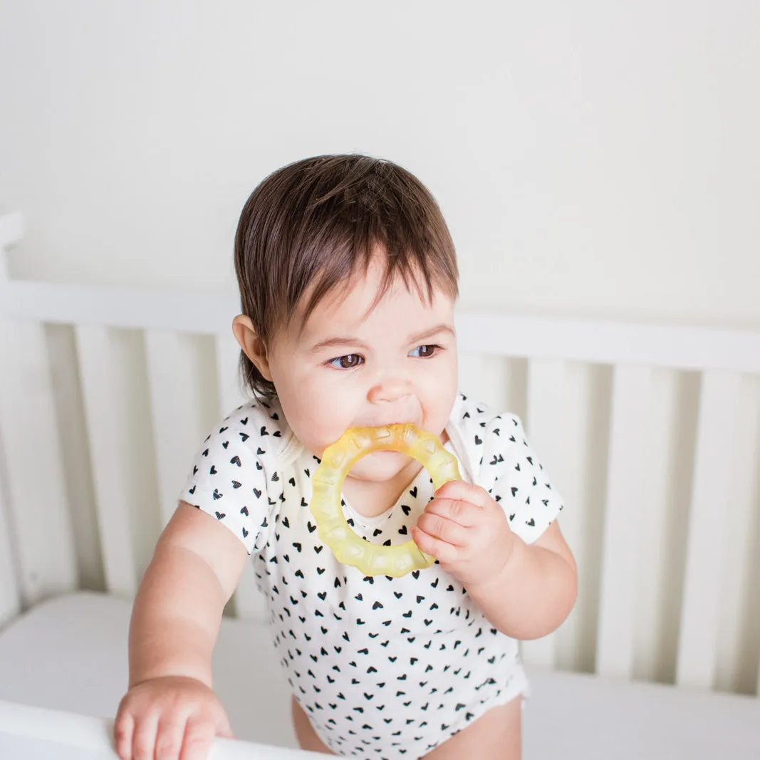 Cool Nature Teethers (2 pack)