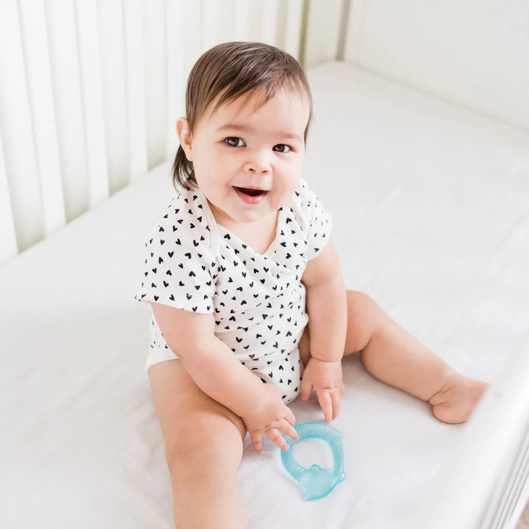 Cool Nature Teethers (2 pack)