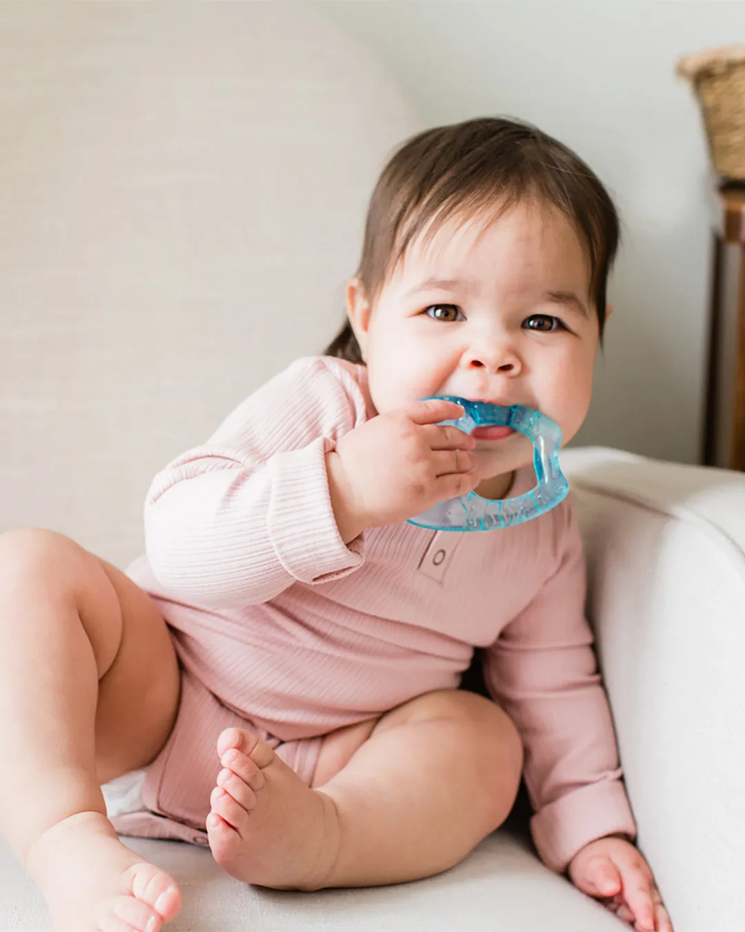 Cool Nature Teethers (2 pack)