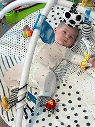 CuddleCritter Garden Rattle Set: Adorable Baby Socks & Wrist Rattles for Playful Adventures
