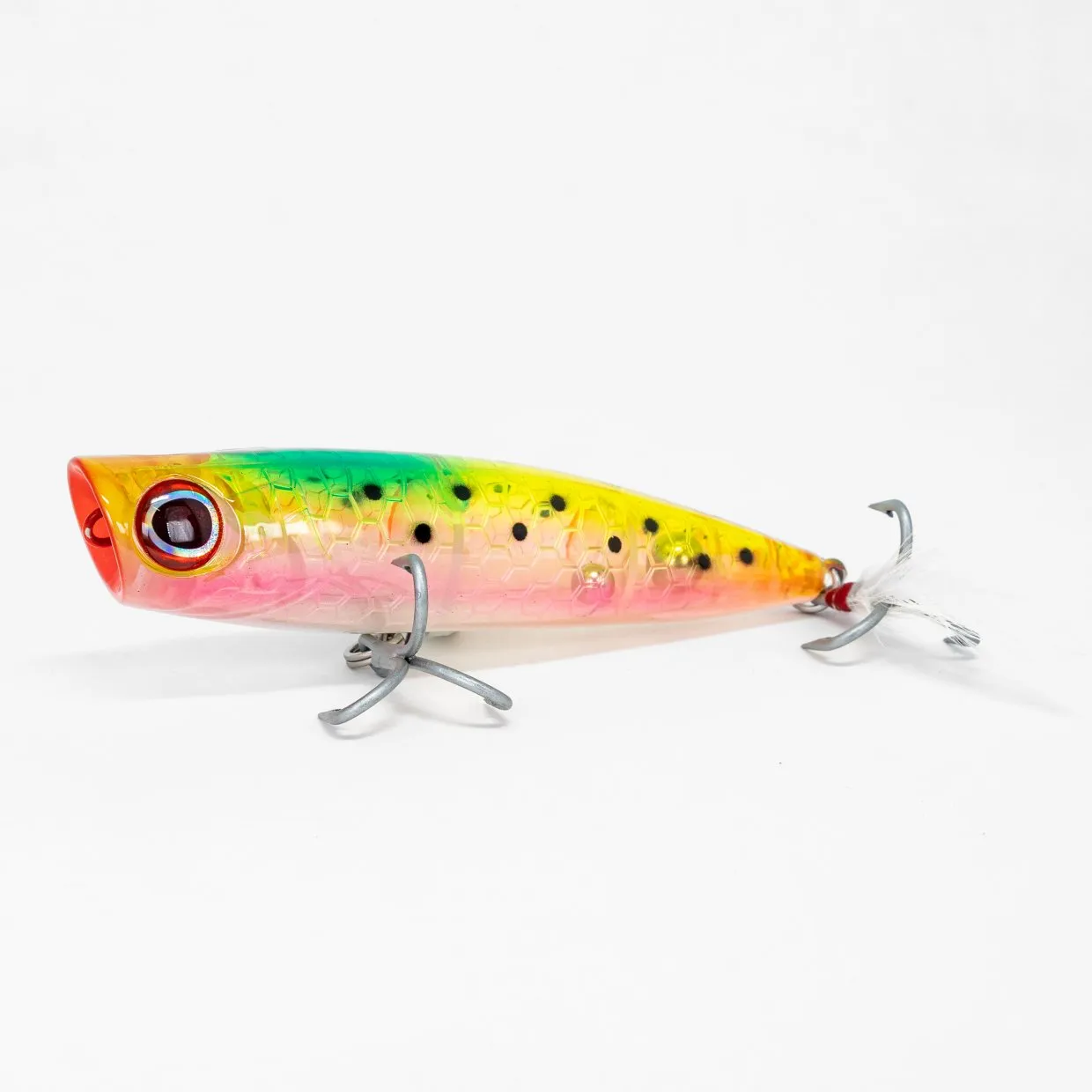Dark Matter Fishaholic Pulsar Poppers