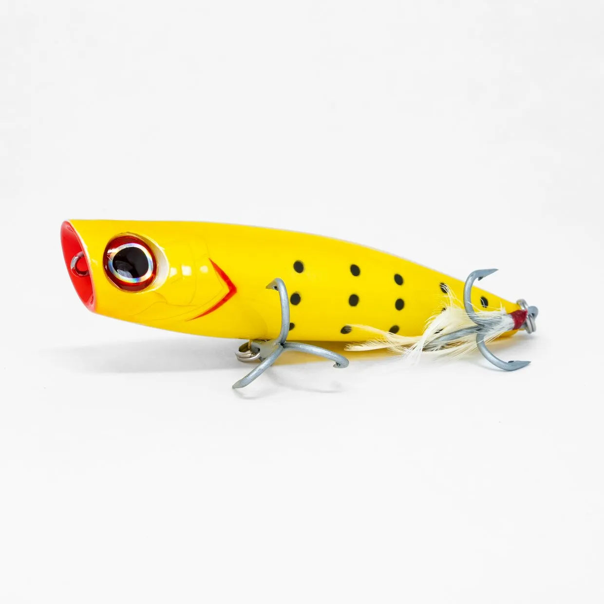 Dark Matter Fishaholic Pulsar Poppers