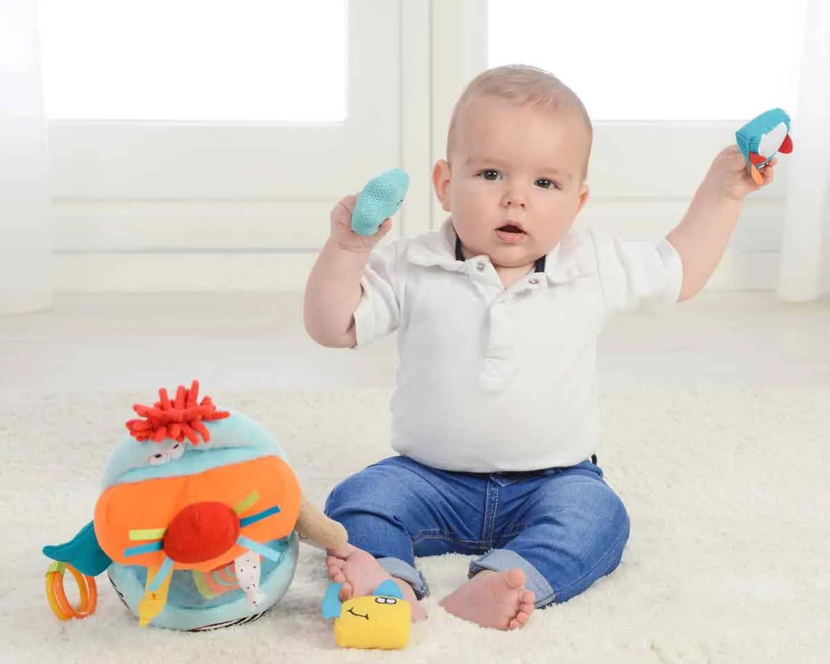 Dolce Toys - Walrus Sorter