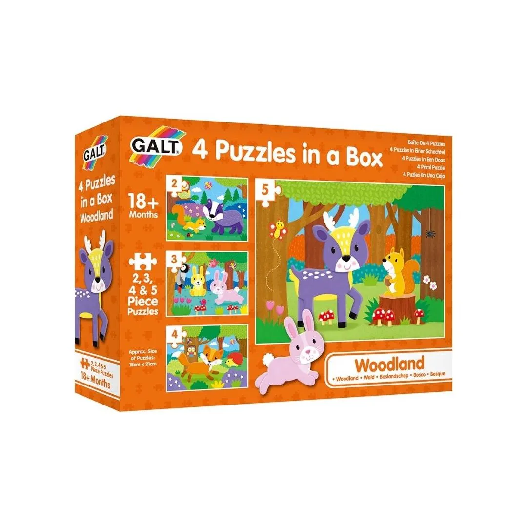 Galt 4 Puzzles In A Box