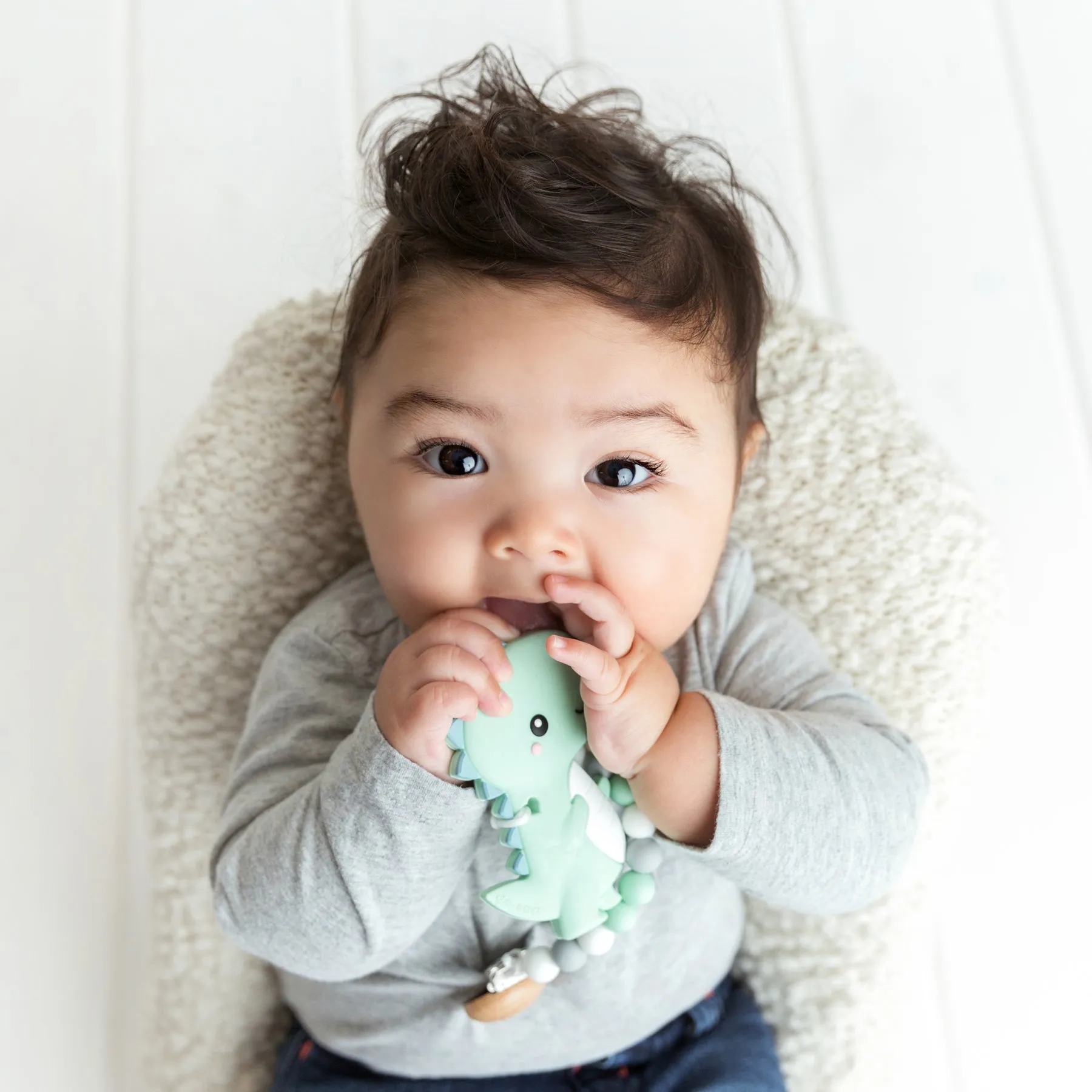 Glitter & Spice T-Rex Teether