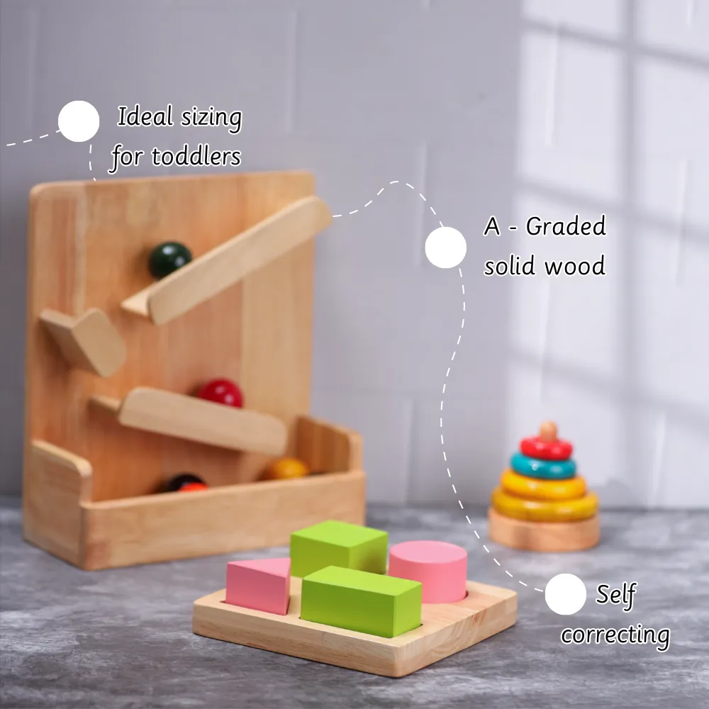 Montessori Kit 12M 