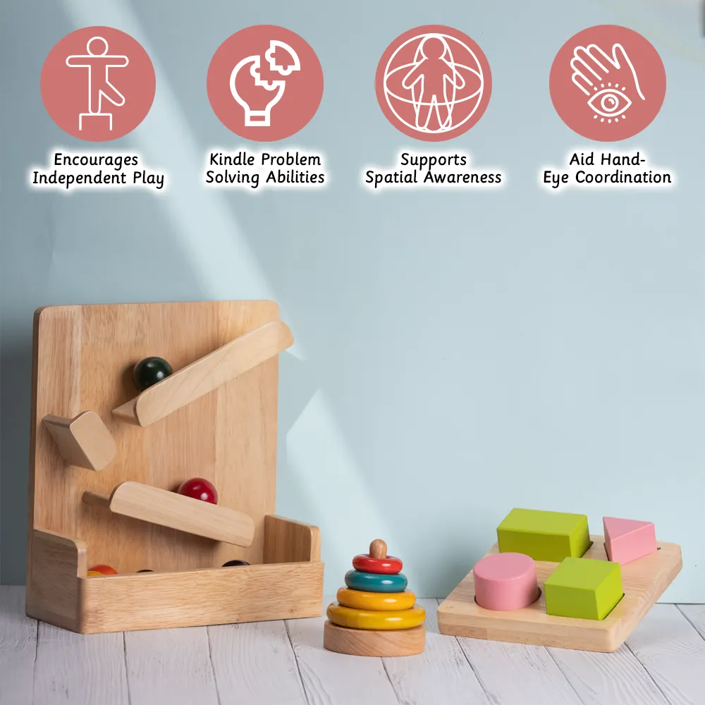 Montessori Kit 12M 
