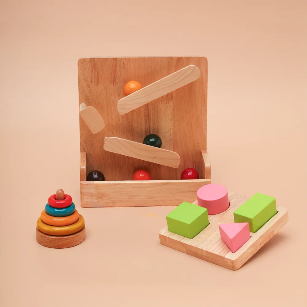 Montessori Kit 12M 