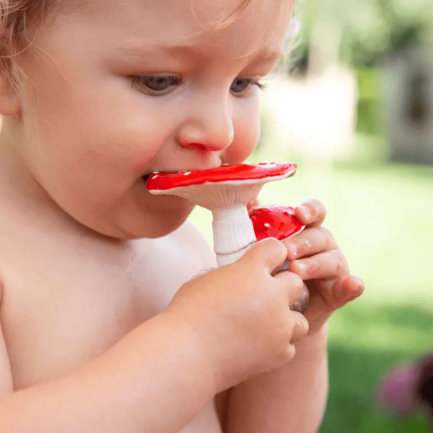 Rubber Teether, Spot the Mushroom