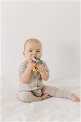 Silicone Central Park Teether - dinosaur