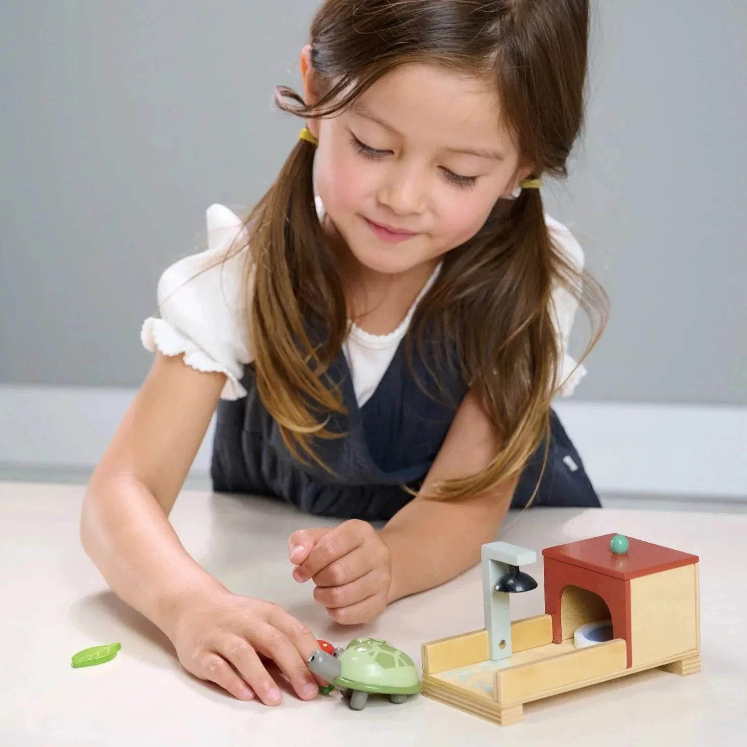 Tortoise Pet Set